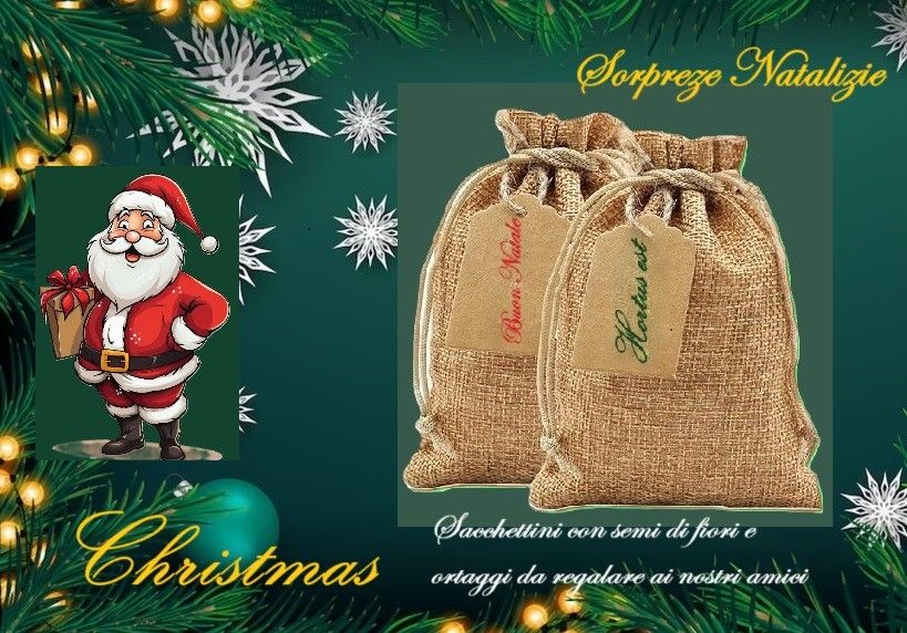 Regalo Natalizio
