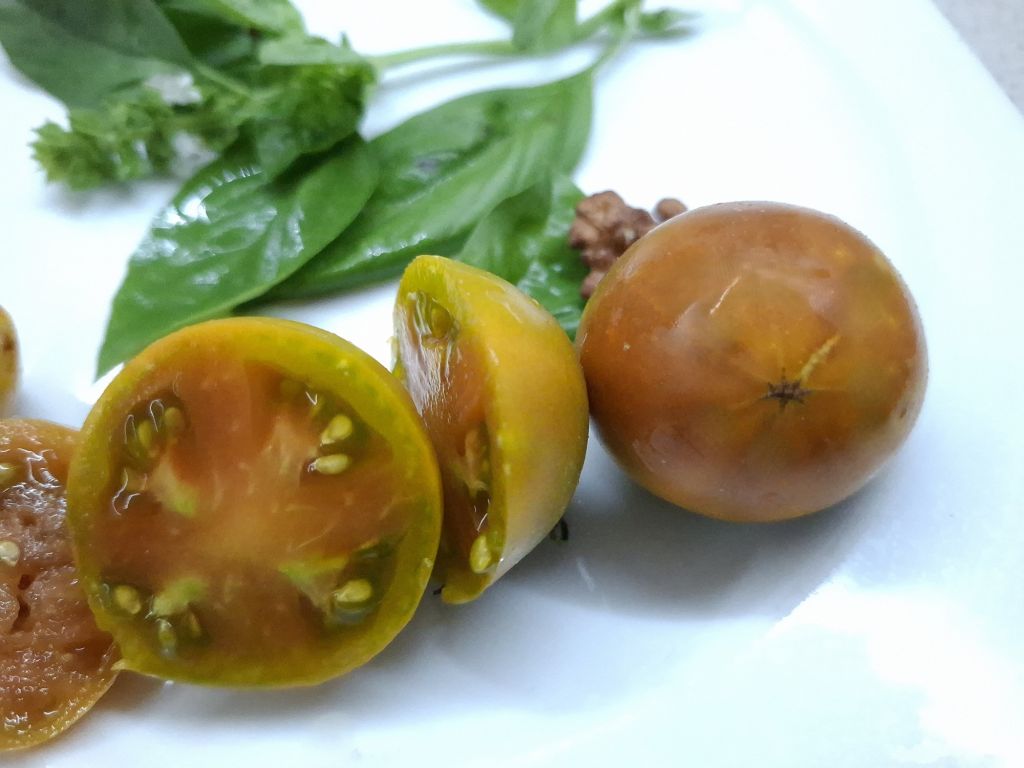 Semi pomodoro "Amarillo" chiamato anche "Armadillo"