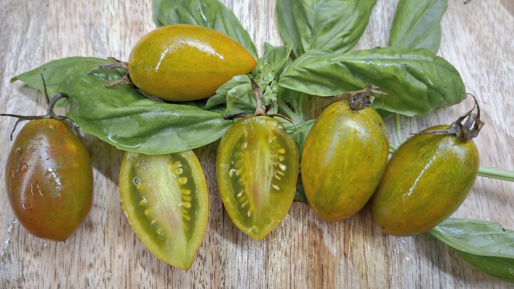 Semi pomodoro "Green Ripper"