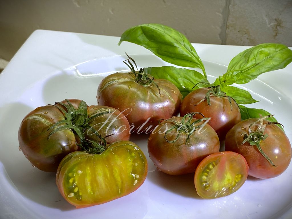 Semi pomodoro "Karma Miracle"