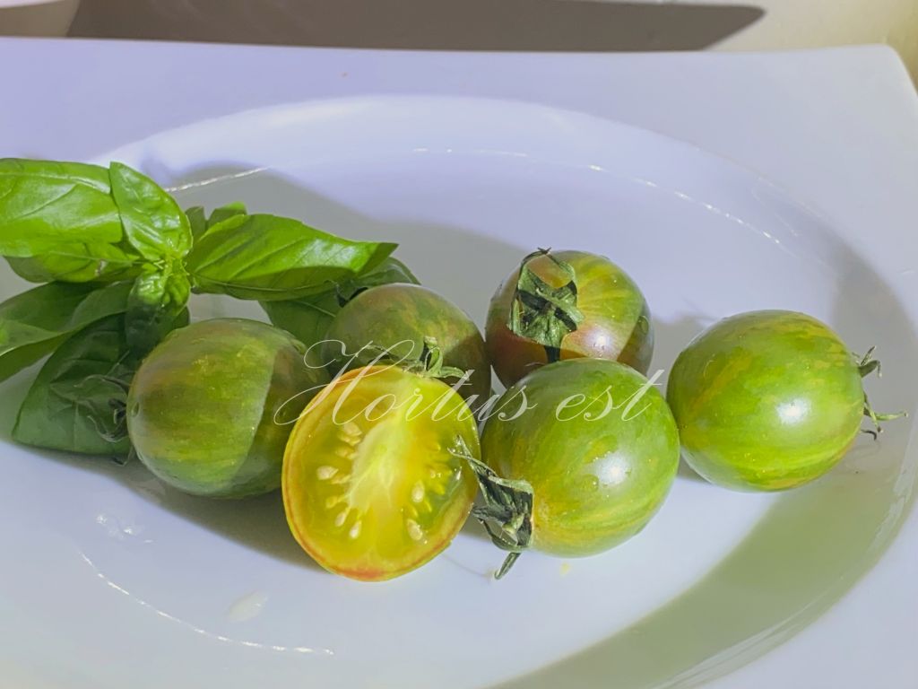 ARTISAN GREEN BUMBLEBEE