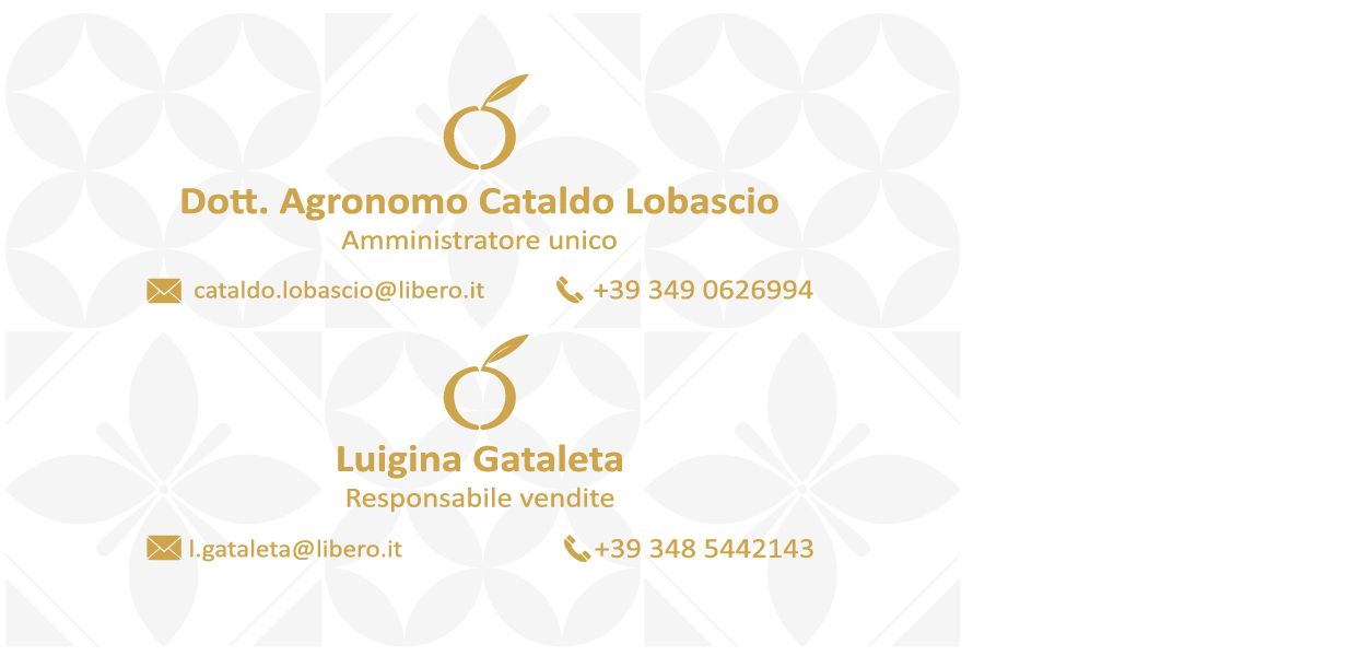 CATALDO