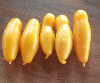 Semi pomodoro