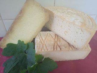 Formaggi Offerta Estiva