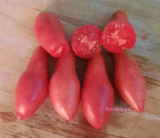 Semi Pomodoro