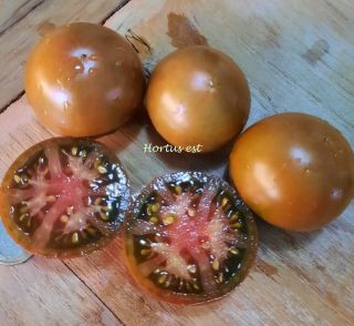 Semi pomodoro