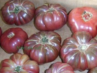 Semi Pomodoro