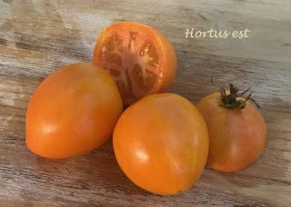 Semi Pomodoro