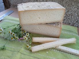 Formaggio 20x20