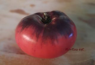 Semi Pomodoro