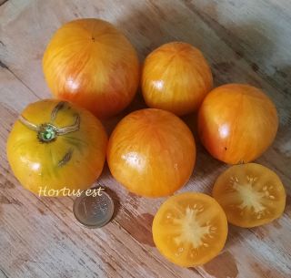 Pomodoro