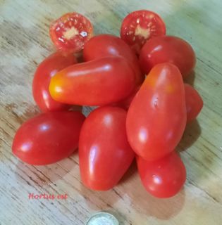 Semi Pomodoro