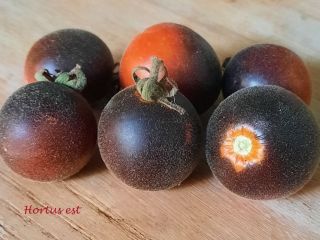 Semi Pomodoro