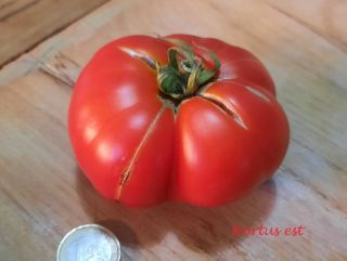 Semi Pomodoro
