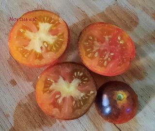 Semi Pomodoro