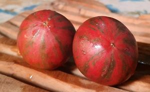 Semi pomodoro