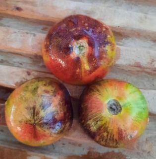 Semi Pomodoro