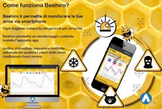 BEEHIRO
