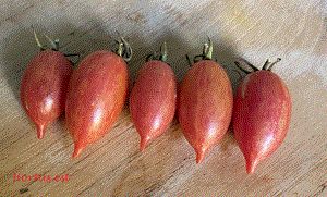 Semi Pomodoro