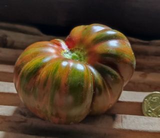 Semi pomodoro