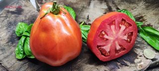 Semi pomodoro