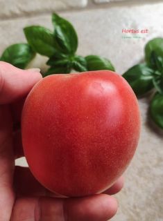Semi Pomodoro