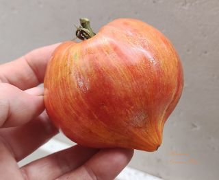 Semi pomodoro