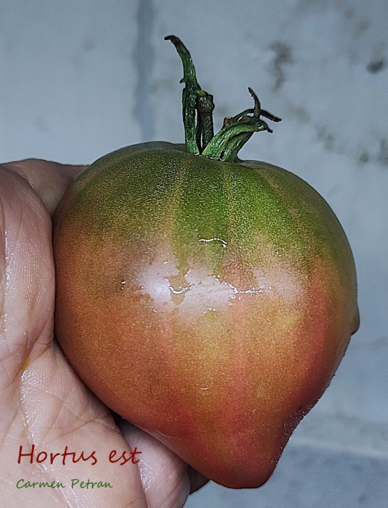 Semi Pomodoro 