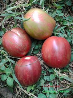 Semi Pomodoro
