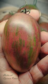 Semi Pomodoro