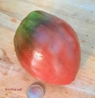Semi Pomodoro