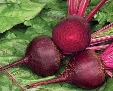 Semi Barbabietola