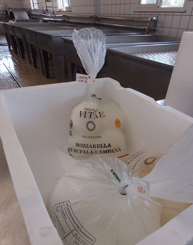 Mozzarella di Bufala Campana DOP (artigianale)