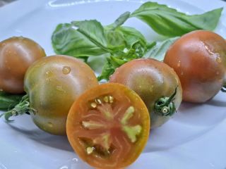 Semi pomodoro
