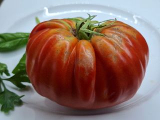 Pomodoro