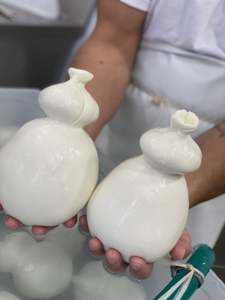 Caciocavallo Sole di Sorrento
