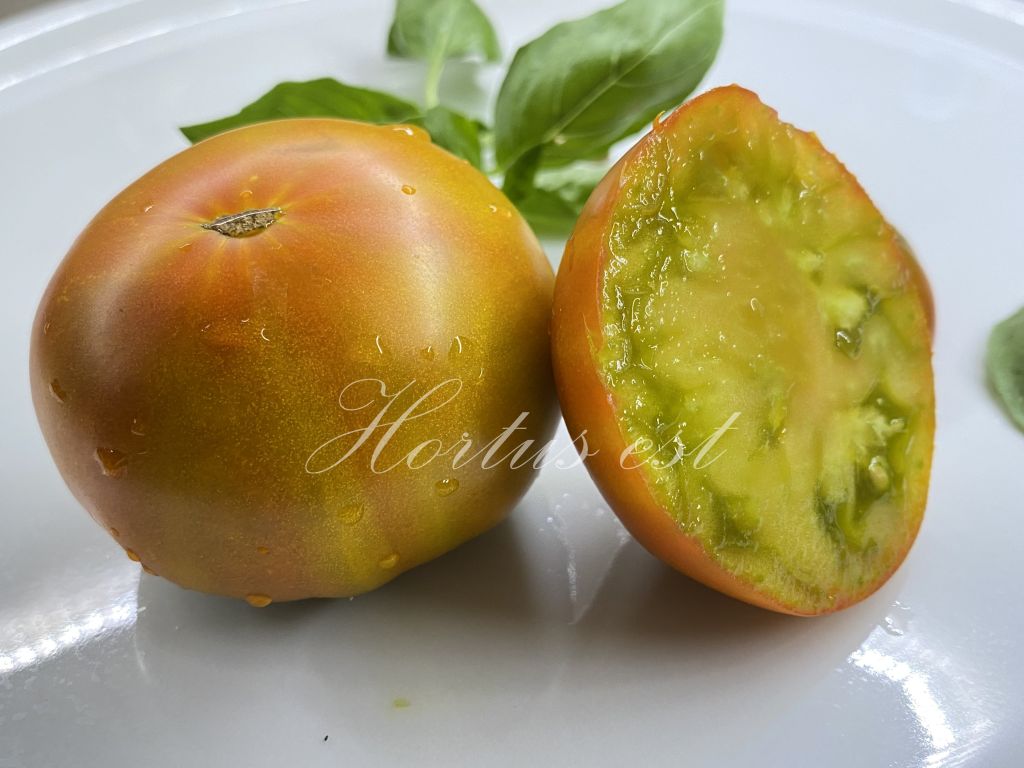 Semi pomdori 