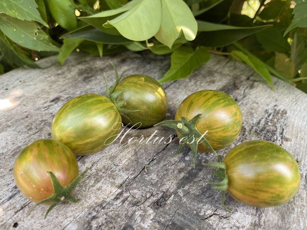 ARTISAN GREEN BUMBLEBEE