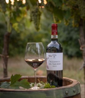 Aglianico del taburno DOCG