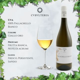 Pallagrello Bianco
