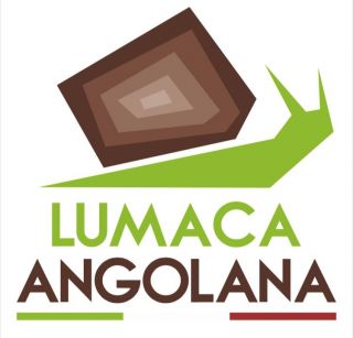 Lumache Helix Aspersa Müller