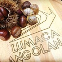 Lumache Helix Aspersa Müller 2kg