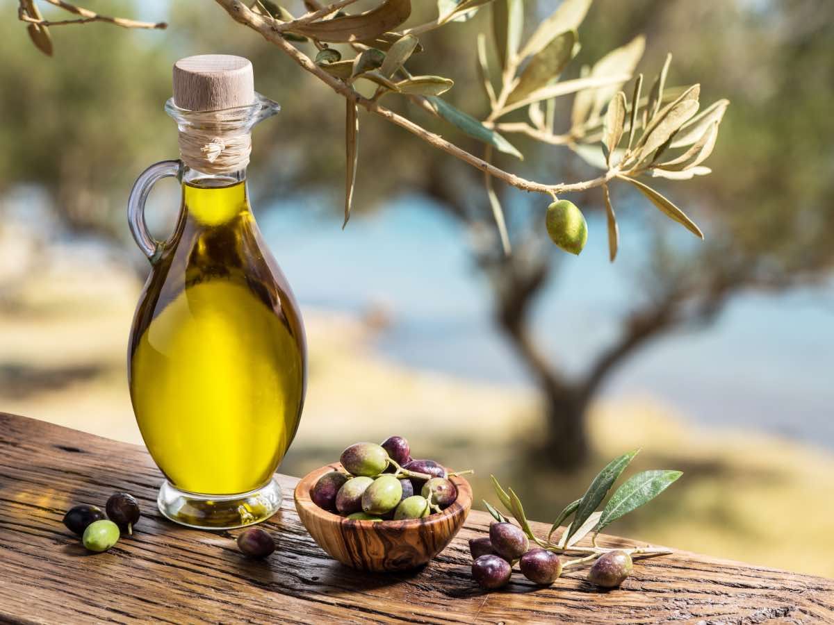 Olio d' oliva pugliese 5 litri
