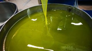 Olio extravergine senza trattamenti
