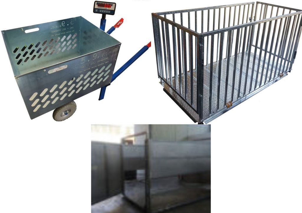 PESA BESTIAME ELETTRONICO A CELLE DI CARICO.