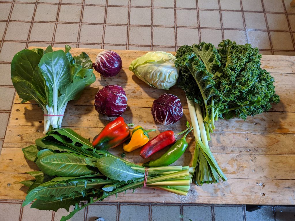 Cassetta di verdure biologiche