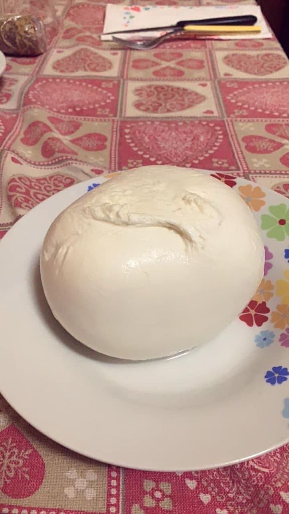 Mozzarella di bufala