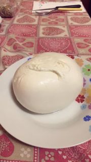 Mozzarella di bufala