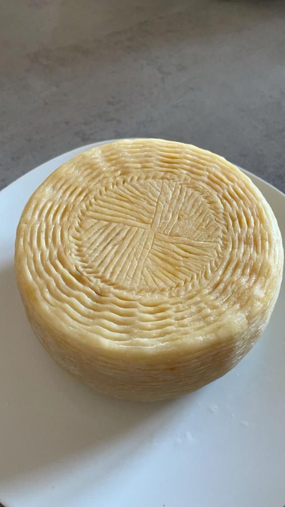 Caciotta Caprina del Matese