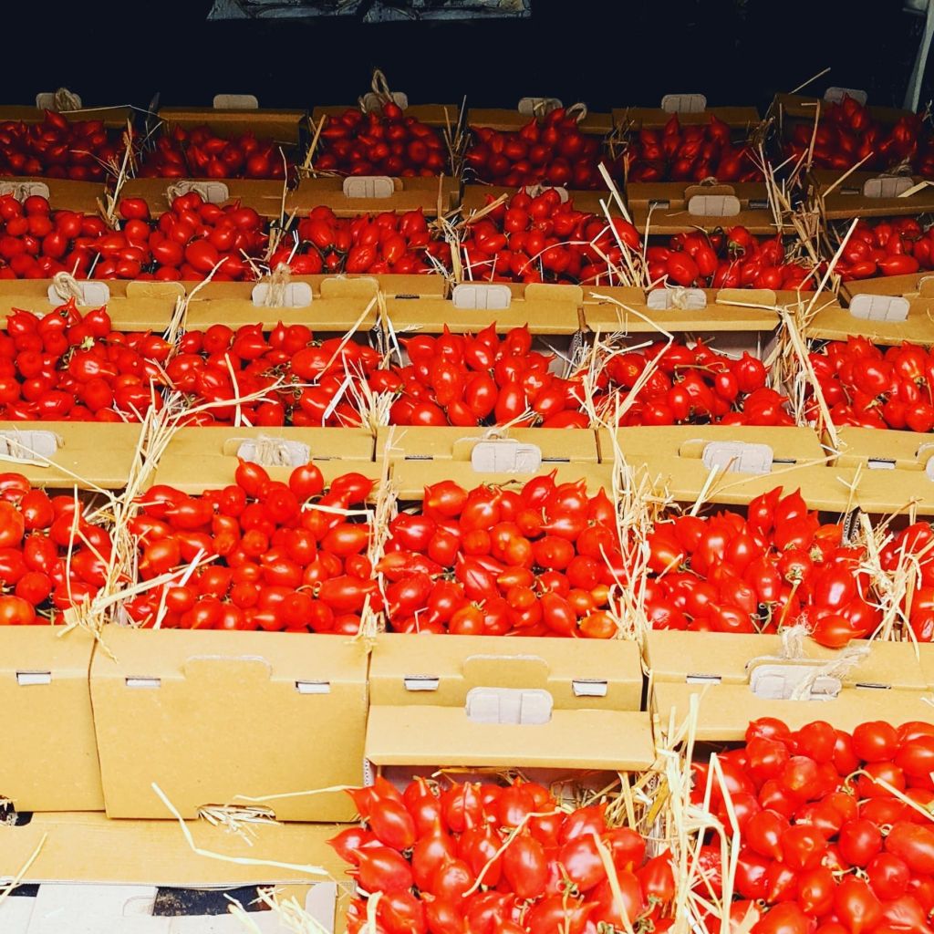 Pomodorino del Piennolo del Vesuvio DOP (2Kg)